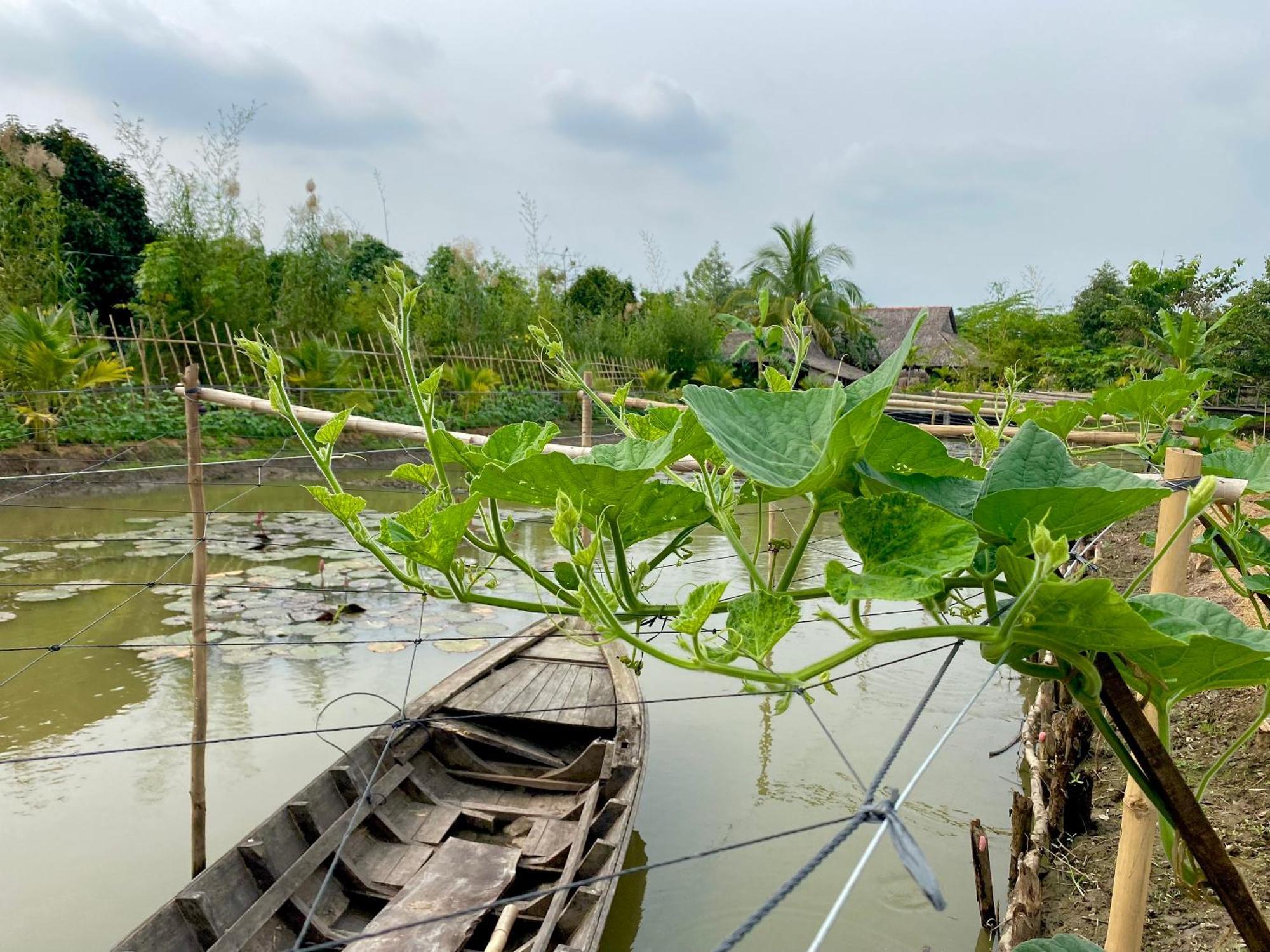 Mekong Silt Ecolodge Can Tho Exterior foto